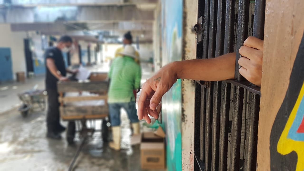 Distribuição de gêneros alimentícios 