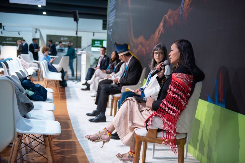 COP29: delegação amapaense discute políticas públicas em defesa dos territórios indígenas e enfrentamento às mudanças climáticas