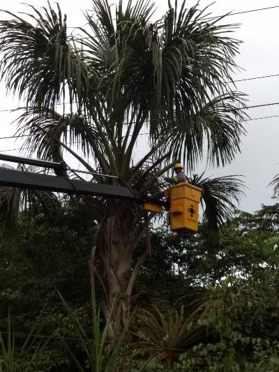 CEA orienta cuidados com a rede elétrica durante as chuvas