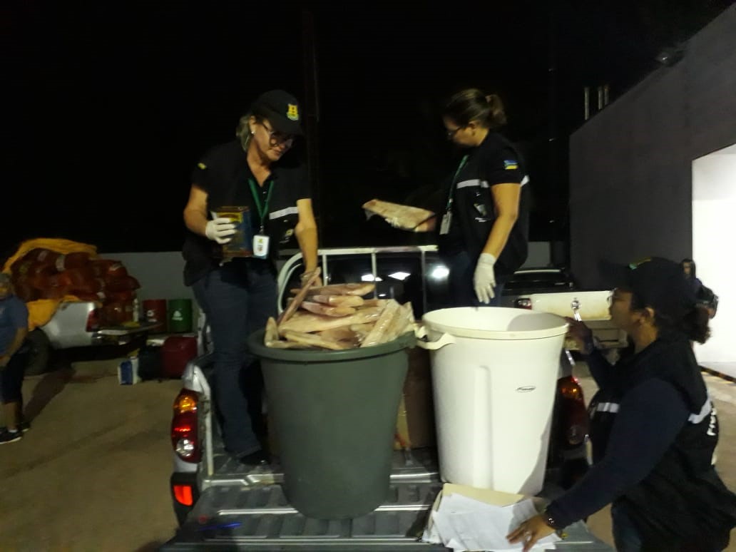 DIAGRO e PRF apreendem cargas clandestinas de pescado 
