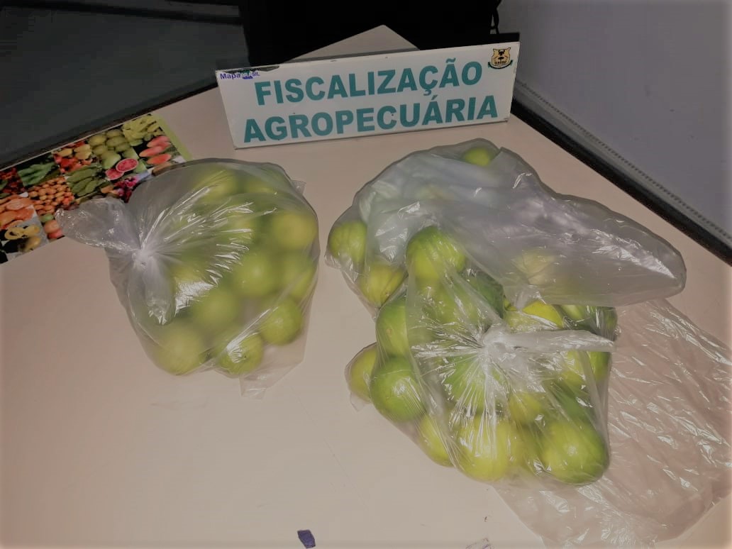 Amapá retira de circulação 574 kg de frutas e verduras suspeitas de hospedarem praga
