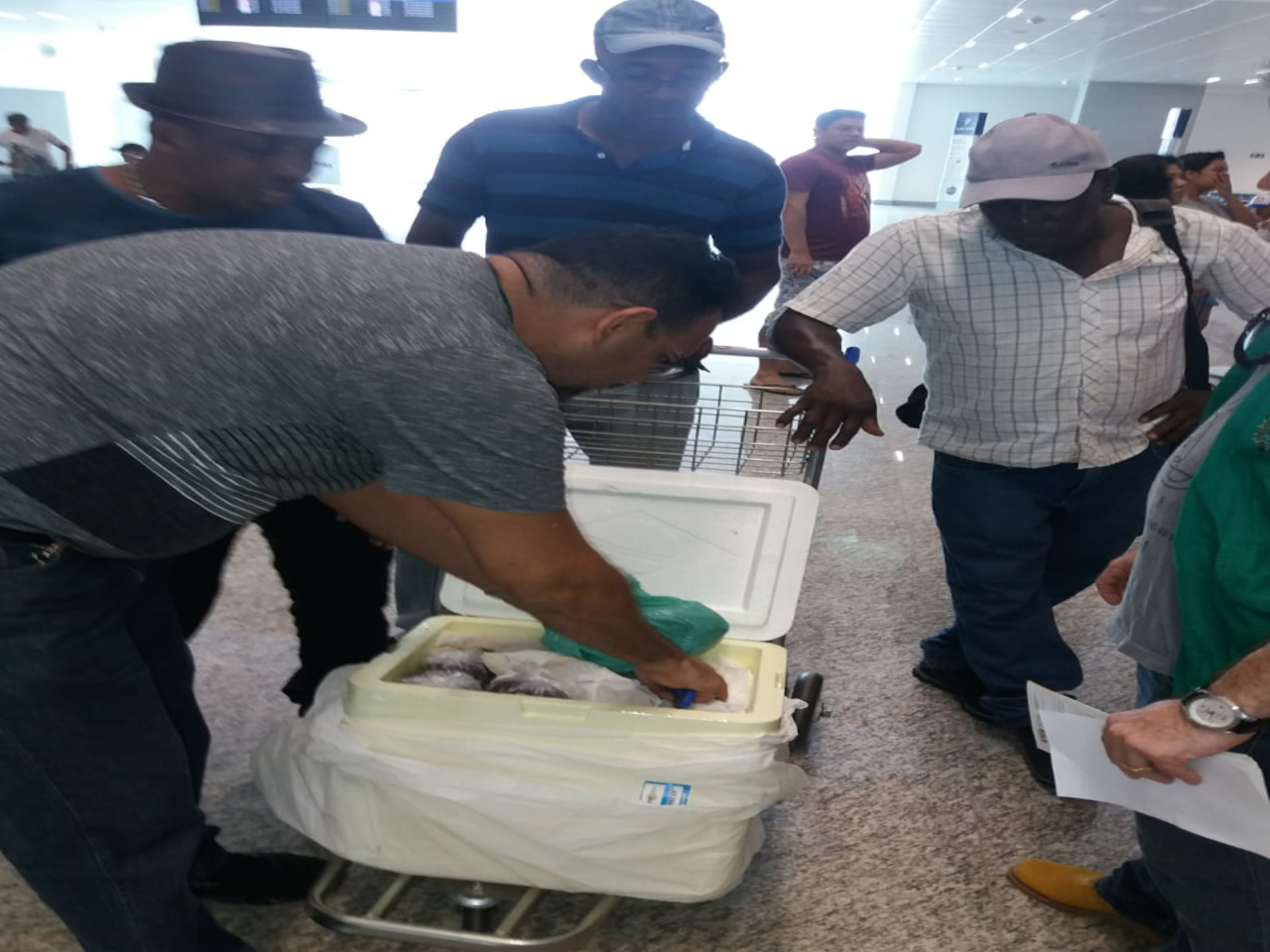 DIAGRO retoma fiscalizações no Aeroporto Internacional de Macapá