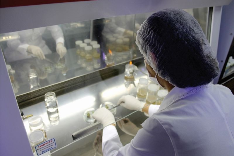 Governo do Estado prorroga prazo para submissão de projetos do Programa Pesquisa para o SUS