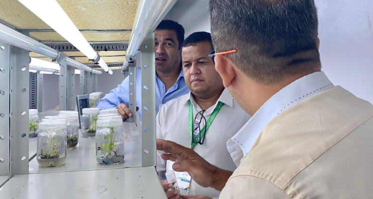 FAPEAP visita IEPA Fazendinha em missão de apoio à pesquisa no Amapá