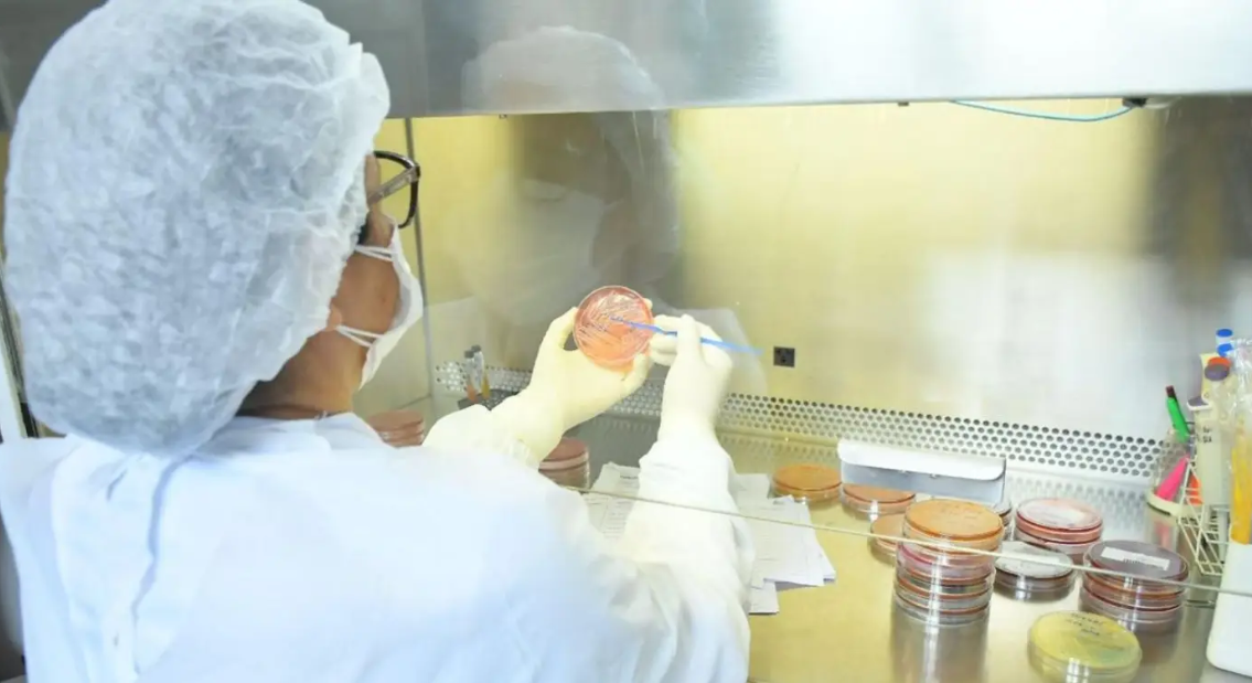 Governo do Amapá anuncia investimento à pesquisadores de excelência com bolsa de produtividade 
