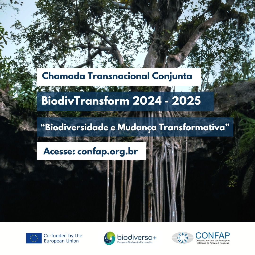 Parceria Europeia para a Biodiversidade lança chamada transnacional conjunta BiodivTransform 2024-2025