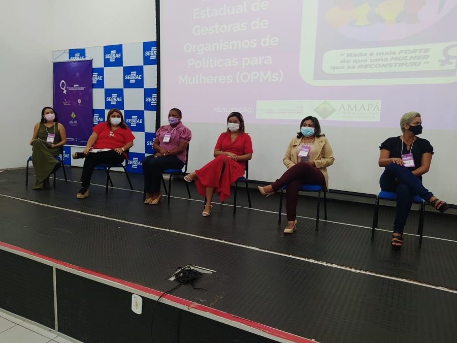 Coordenadoras municipais se reúnem para o fortalecimento ao combate à violência doméstica