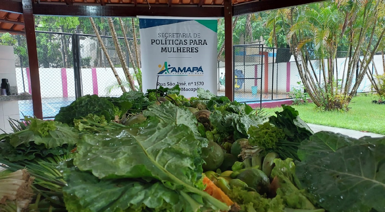 Programa de Aquisição de Alimentos destina doação para famílias vítimas da violência doméstica