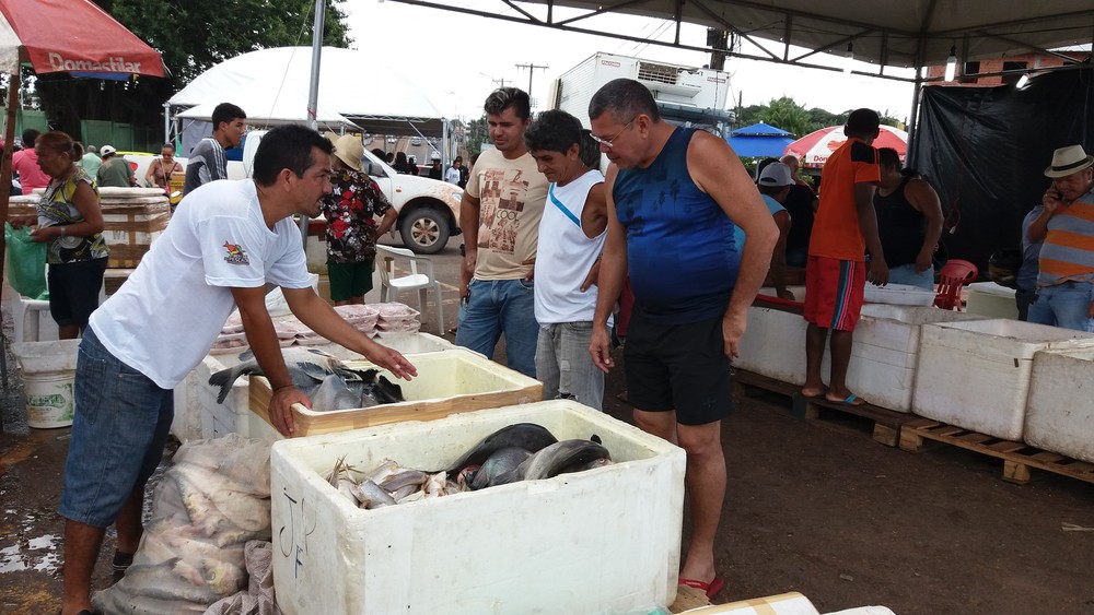 Projeto ‘Peixe Popular’ abre vagas para piscicultores em 9 municípios do AP