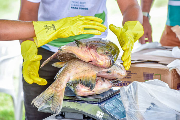 “Peixe Popular” movimentou mais de R$ 800 mil