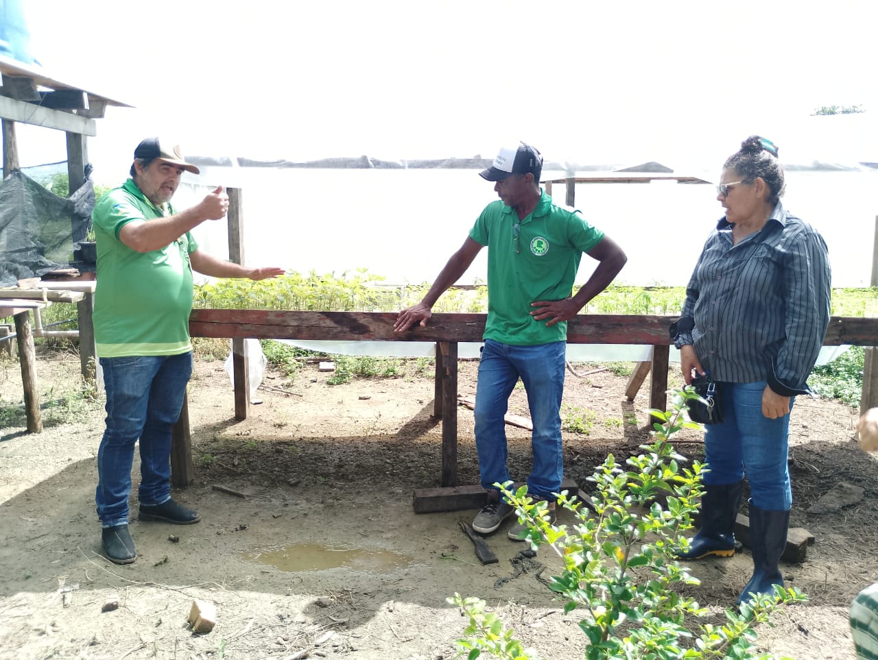 Agricultores de Macapá Buscam Alternativas Sustentáveis com Assistência do Rurap.