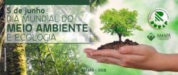 Dia Internacional do Meio Ambiente e Ecologia