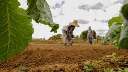 Extensionistas rurais comemoram 44 anos de atividade com auxílio ao homem do campo