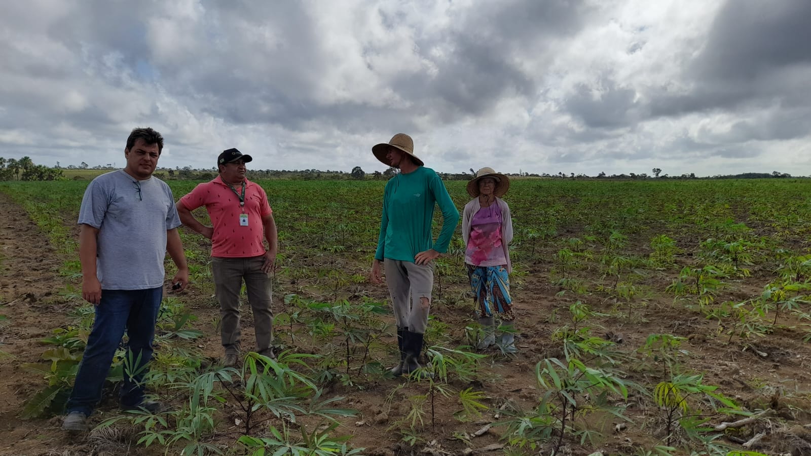 Técnicos do Rurap no Amapá combatem pragas agrícolas em visita a diversos municípios