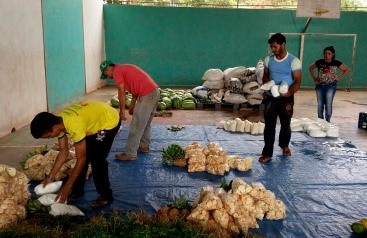 Programa de Aquisição de Alimentos injetou mais R$ 200 mil na economia de Vitória do Jari
