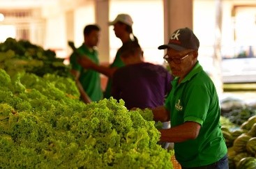 PAA: Governo divulga chamada pública para seleção de agricultores e entidades