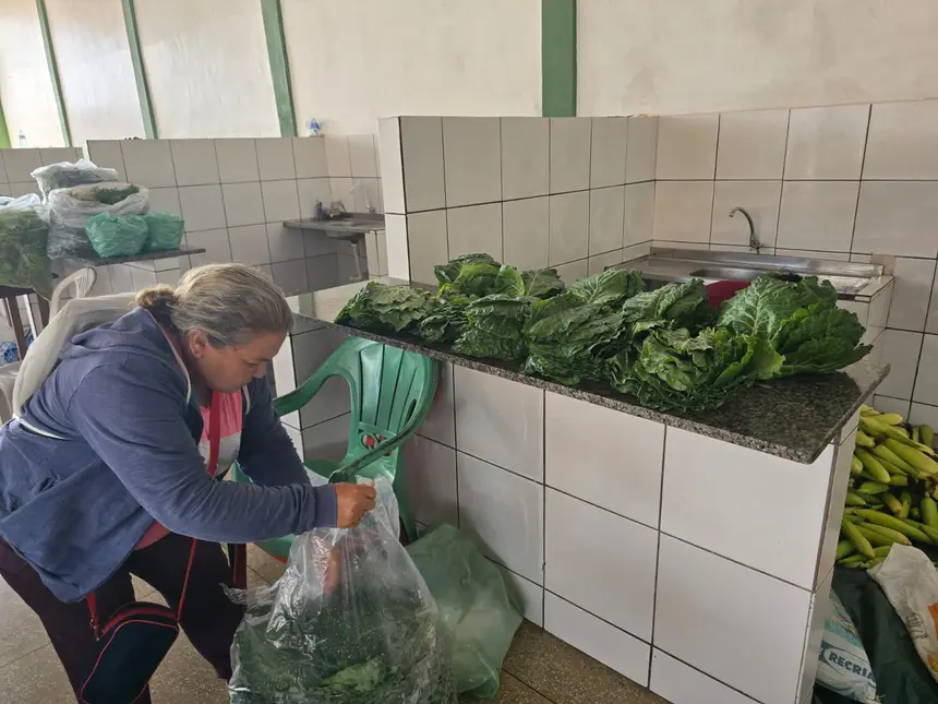 Governo do Amapá fortalece agricultura familiar com aquisição de 10 toneladas de alimentos em Tartarugalzinho