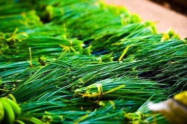 Cadastramento no Programa de Aquisição de Alimentos encerra nesta quinta-feira, 5
