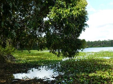 Governo do Estado divulga programação do Junho Verde