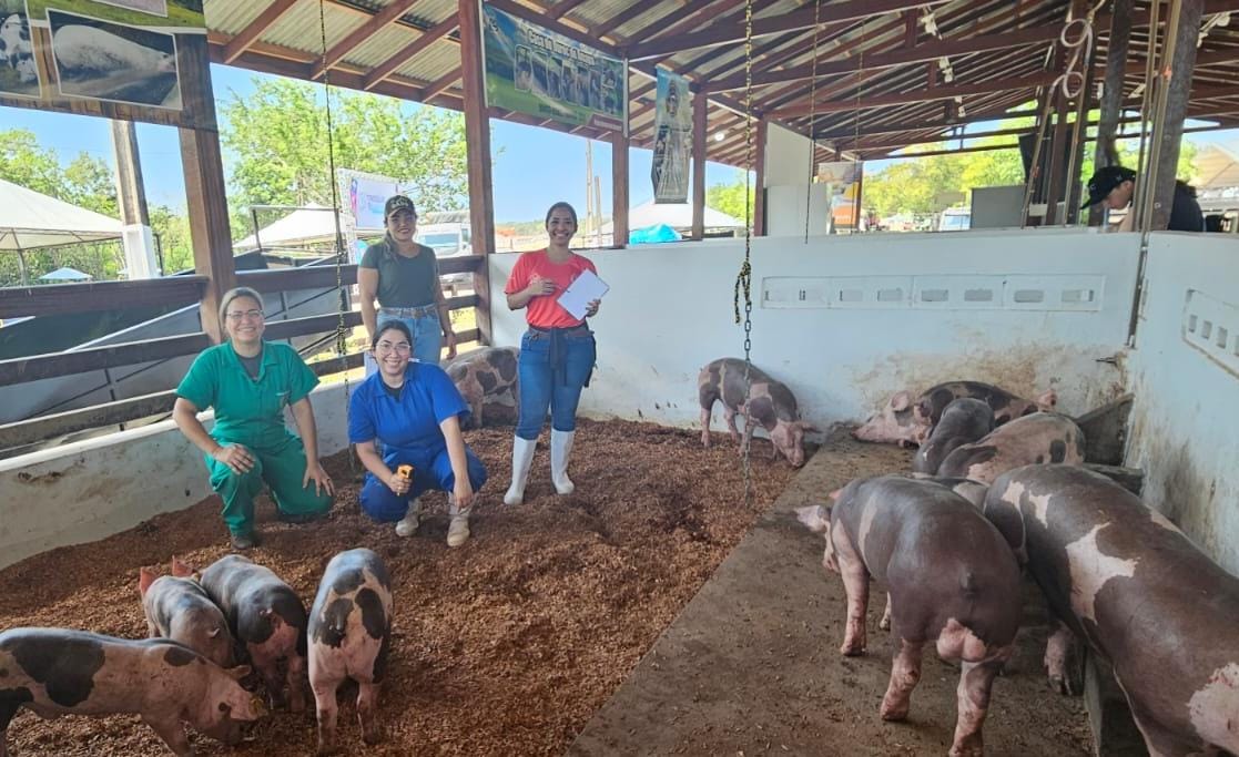 Instituto de Extensão, Assistência e Desenvolvimento Rural do Amapá (RURAP) na 53ª Expofeira: Avanços na Suinocultura