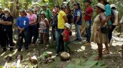 BANANICULTURA FOI O TEMA DO 