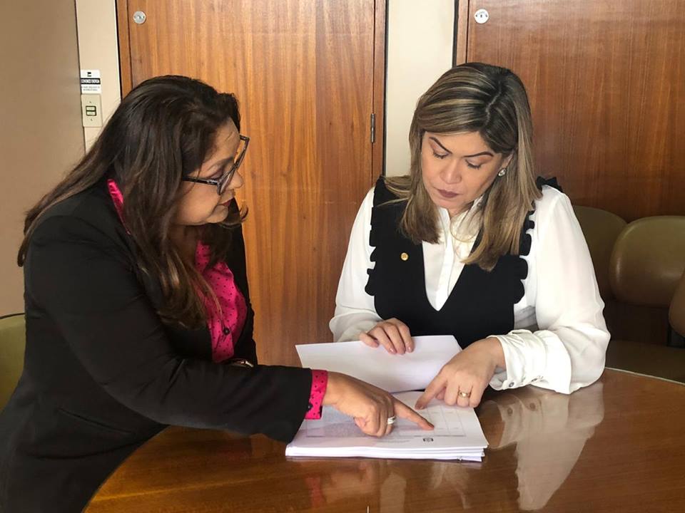 Apresentação de Projetos para o Estado do Amapá.