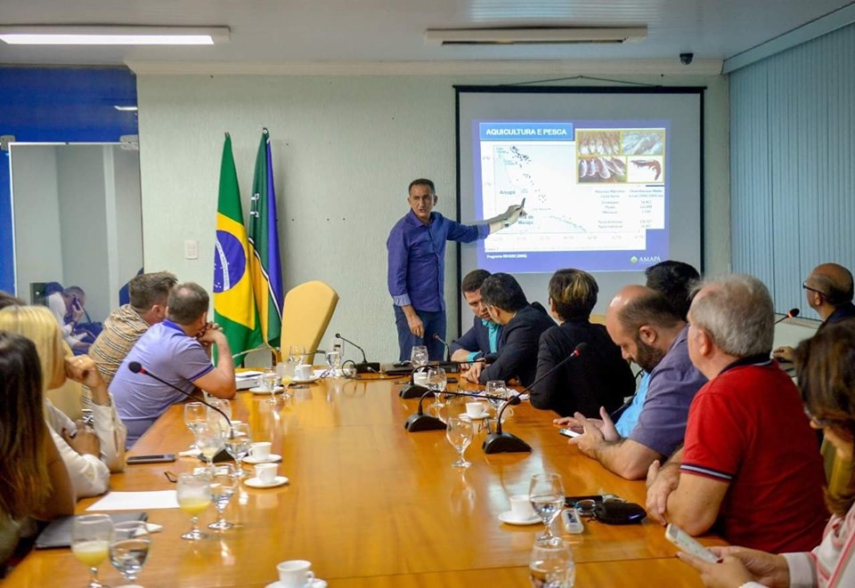 O governador Waldez Góes reuniu com investidores Russos.