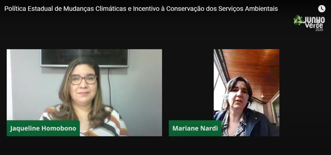 Junho Verde: debate online aborda políticas de mudanças climáticas e a conservação ambiental