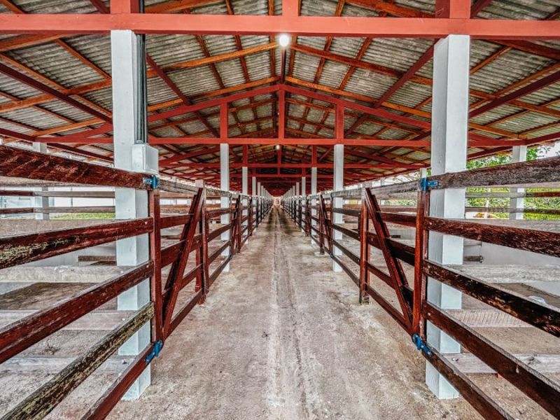 Governo do Estado garante mais de 250 espaços para exposição de animais durante a 53ª Expofeira do Amapá