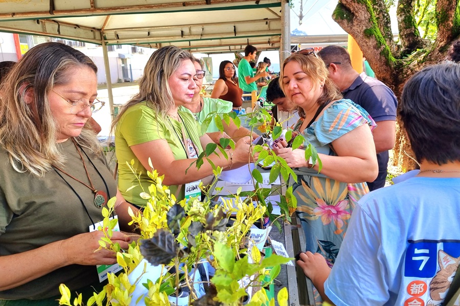 Junho Verde 2024: Governo do Amapá promove Feira de Bioeconomia Sustentável