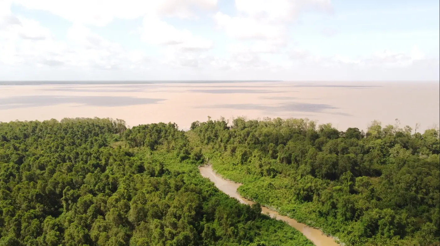 Governo do Amapá realiza expedição científica na reserva Biológica do Parazinho, no arquipélago do Bailique