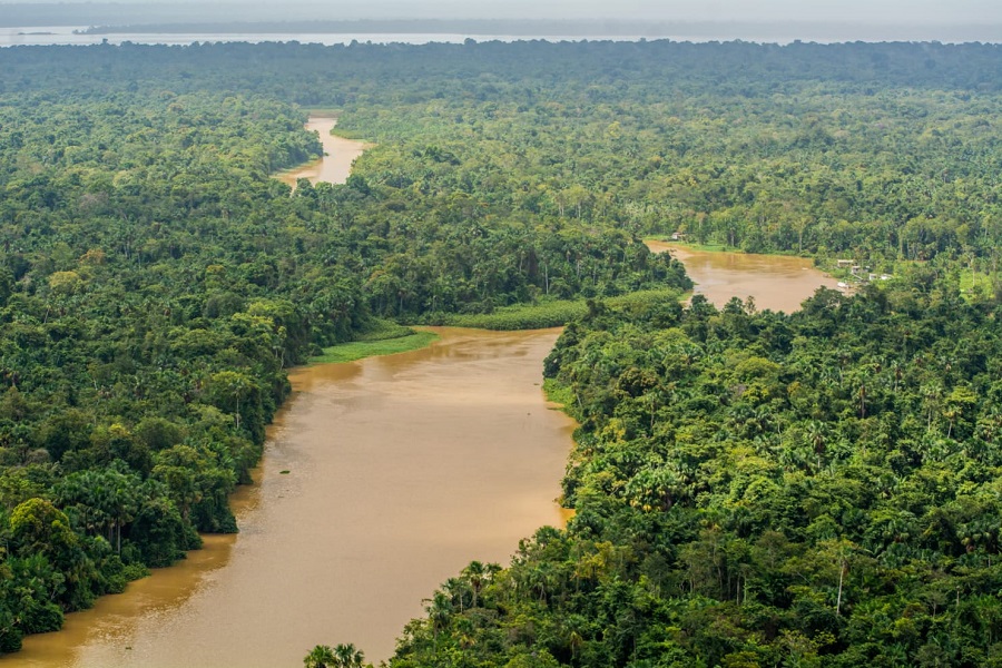 No Dia da Amazônia, Governo do Amapá reforça compromisso com o desenvolvimento sustentável