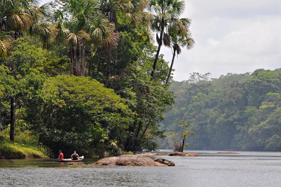 Governo do Estado celebra 18 anos de criação da Floresta Estadual do Amapá
