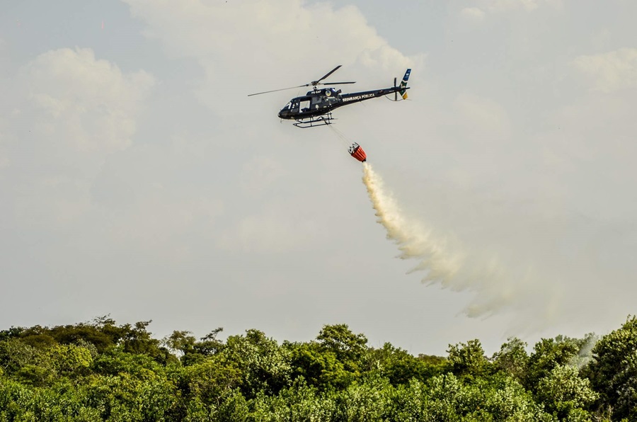 Em menos de um ano, Amapá apresenta redução no desmatamento e garante menor índice entre estados da Amazônia Legal