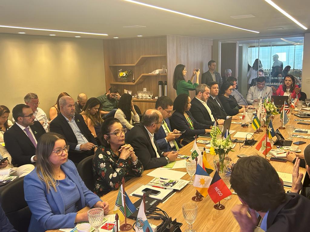 Em Brasília, Governo participa da eleição do Conselho Diretor da Abema