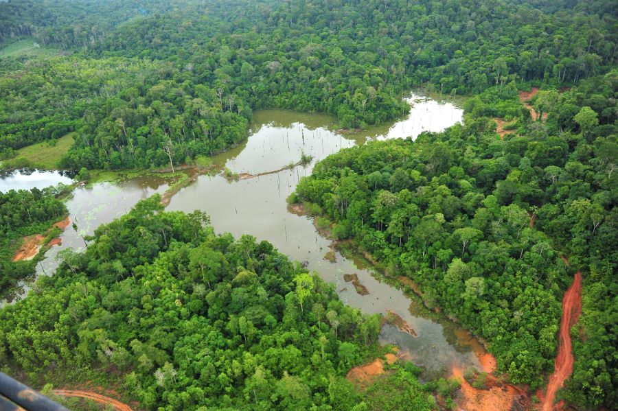 Governo do Amapá elabora projeto de desenvolvimento sustentável para apresentar ao Fundo Amazônia