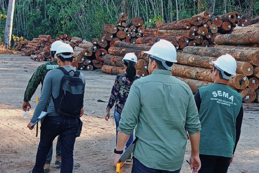 Governo do Estado monitora plano de manejo florestal sustentável de indústria madeireira no Vale do Jari