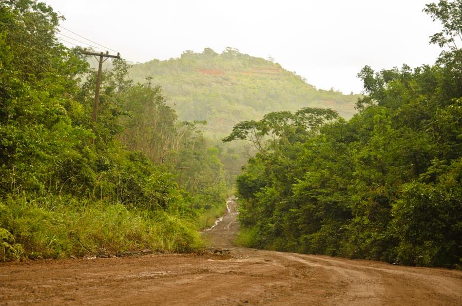 Governo do Estado promove debate sobre as perspectivas da concessão florestal no Amapá