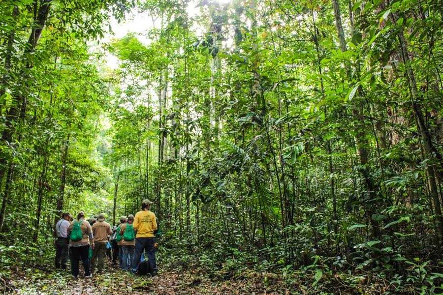 Governo do Amapá participa de debate sobre uso sustentável e comunitário de florestas na Amazônia