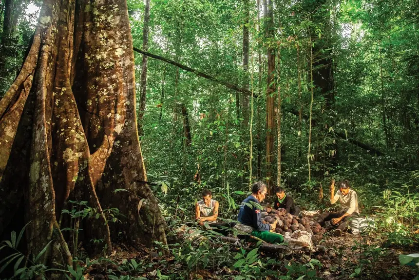 Governo do Amapá busca certificação da Reserva de Desenvolvimento Sustentável do Rio Iratapuru em programa de conservação internacional