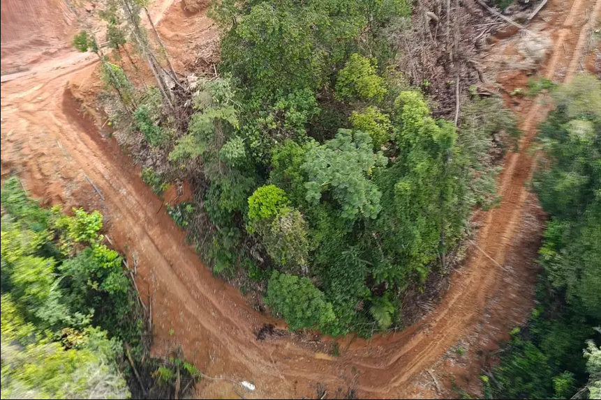 Governo do Amapá identifica causa da contaminação do Rio Cupixi em Porto Grande e mobiliza força-tarefa para conter danos