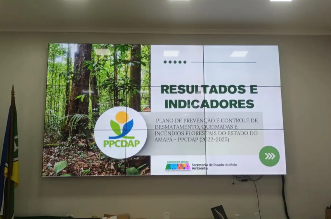 FOTOS: elaboração do novo ciclo do Plano de Prevenção e Controle do Desmatamento, Queimadas e Incêndios Florestais