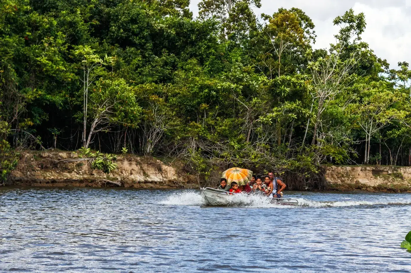 Governo do Amapá lança edital para eleição de novos membros do Conselho Estadual de Meio Ambiente 