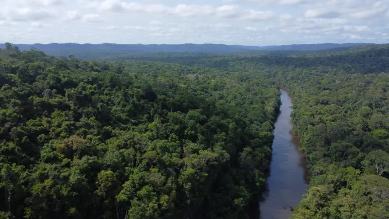 Governo do Amapá avança no mercado de ativos ambientais e realiza capacitação sobre sistema jurisdicional de carbono