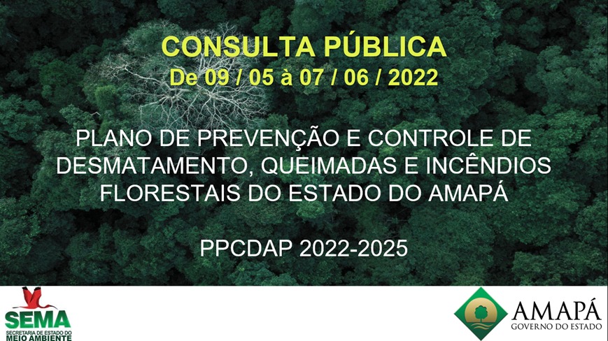 Consulta Pública