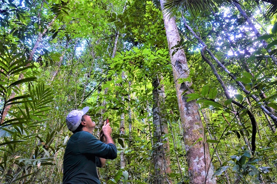 Governo do Amapá inicia campanha ‘Junho Verde 2024’ no Dia Mundial do Meio Ambiente, em Macapá