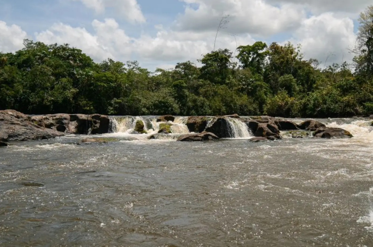 Amapá registra primeira Unidade de Conservação subnacional do Brasil na Lista Verde Internacional