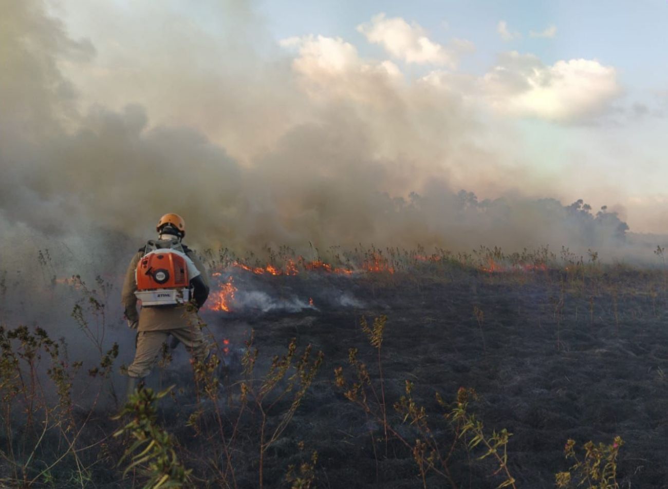 Amapá adere à política nacional e suspende uso de fogo para prevenir focos de calor e incêndios florestais