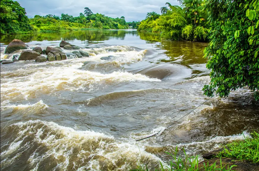 Governo do Estado realiza 5ª Conferência Estadual do Meio Ambiente, em Macapá; confira a programação