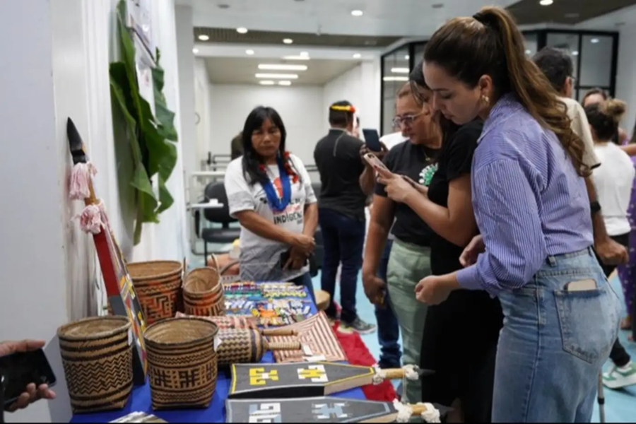 Governo do Amapá promove troca de saberes tradicionais indígenas com profissionais da saúde